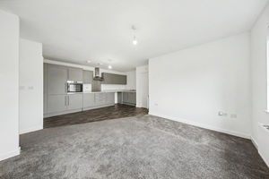 Woodyard Avenue Tapton